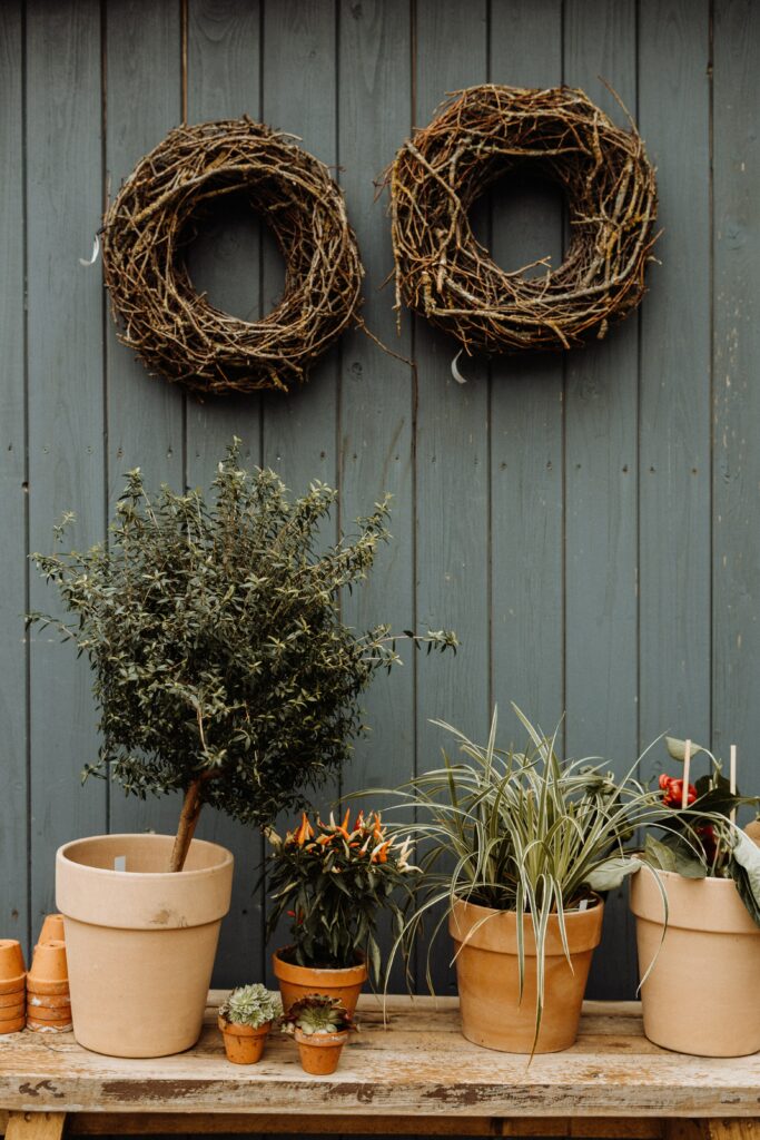 Cozy Potted Plants & Flowers Wallpaper with Rustic Wooden Background