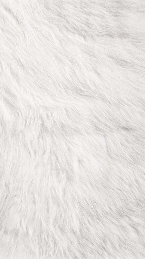 Soft Fuzzy White Fur Wallpaper: Cozy and Elegant Background
