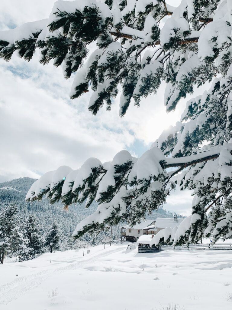 Cozy house in snowy winter landscape with snow-covered trees and mountains bright and peaceful Wallpaper
