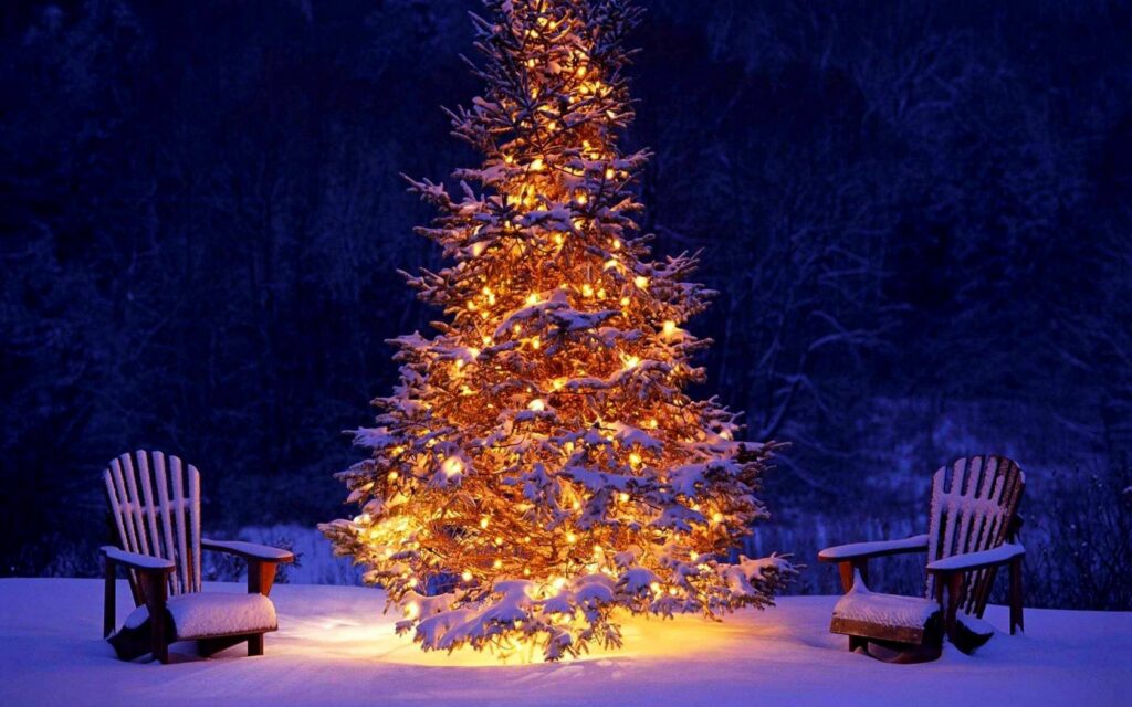 Cozy Winter Night: Snow-Covered Christmas Tree & Festive Chairs Wallpaper