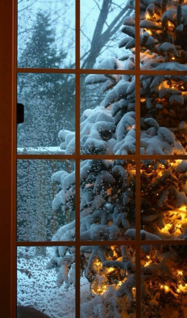 Cozy Winter Scene: Frosted Window & Snow-Covered Tree with Lights Wallpaper