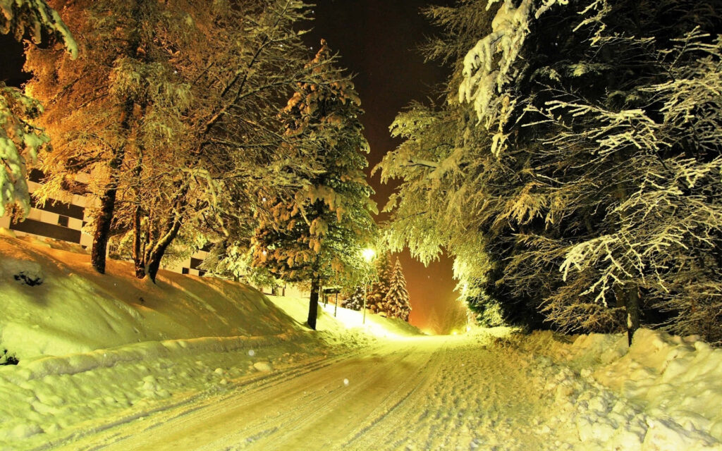 Cozy Winter Wonderland Wallpaper: Serene Snowy Rural Landscape