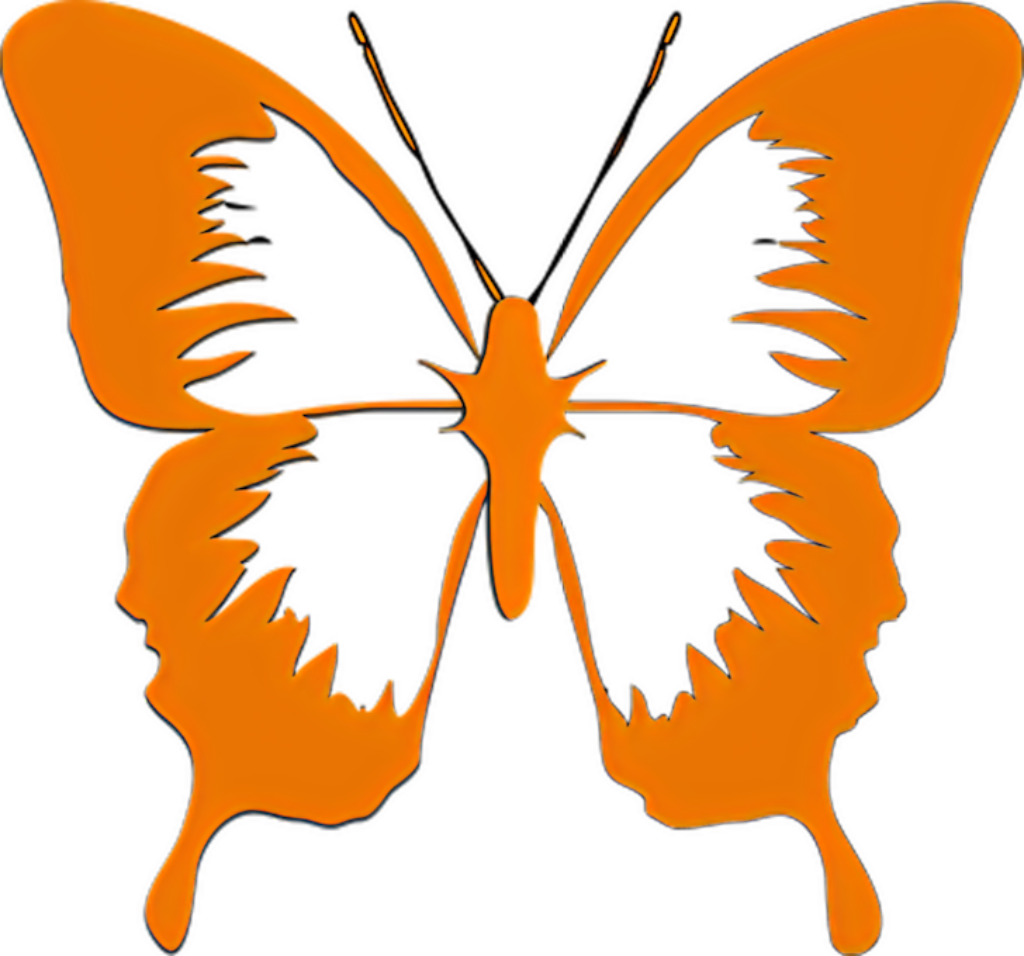 Artistic Butterfly Silhouette Wallpaper with Human Face Illusion