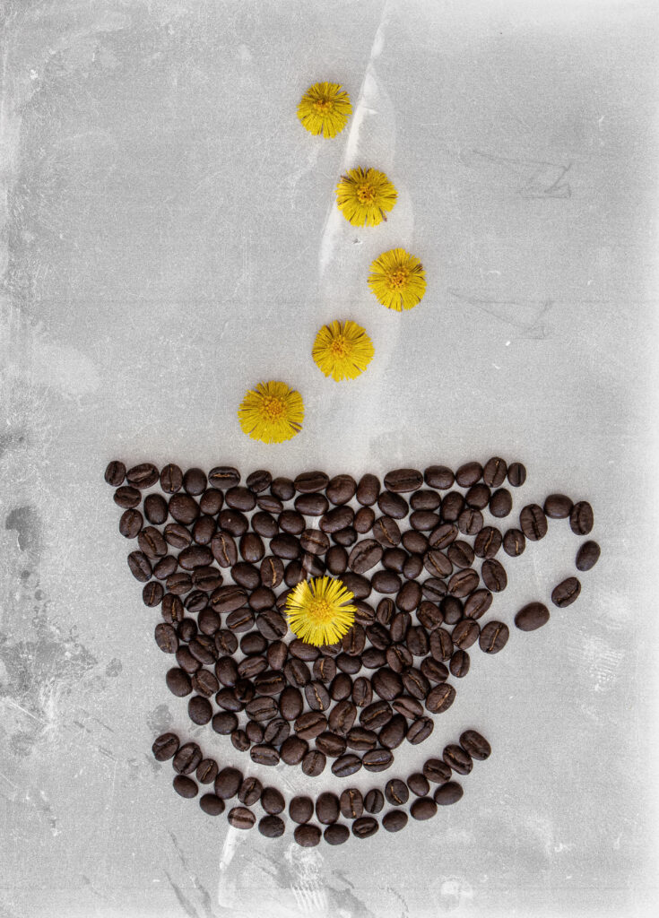 Coffee Bean Cup with Dandelions - Artistic Wallpaper Background
