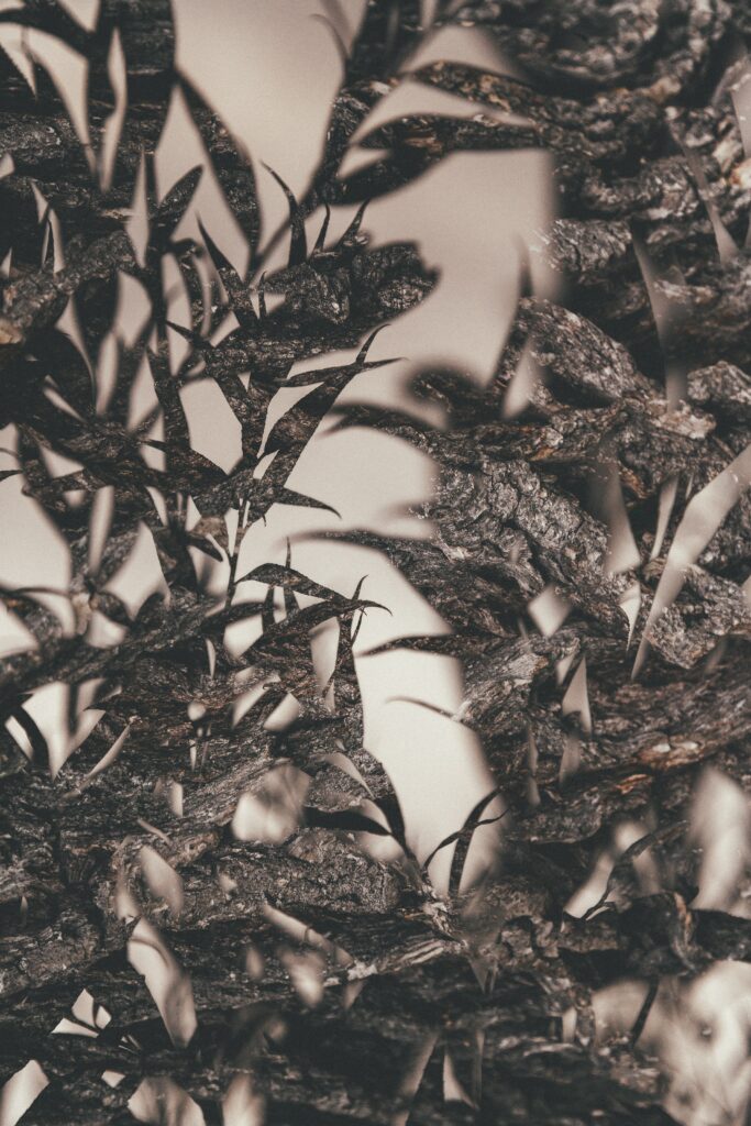 Intricate Double Exposure Leaf Wallpaper - Abstract Macro Design