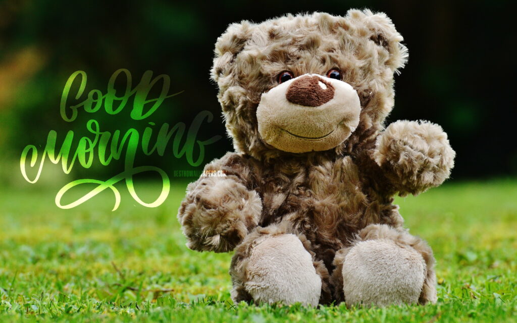 Teddy Bear's Bliss: A Creative Good Morning Wish in 4K Wallpaper