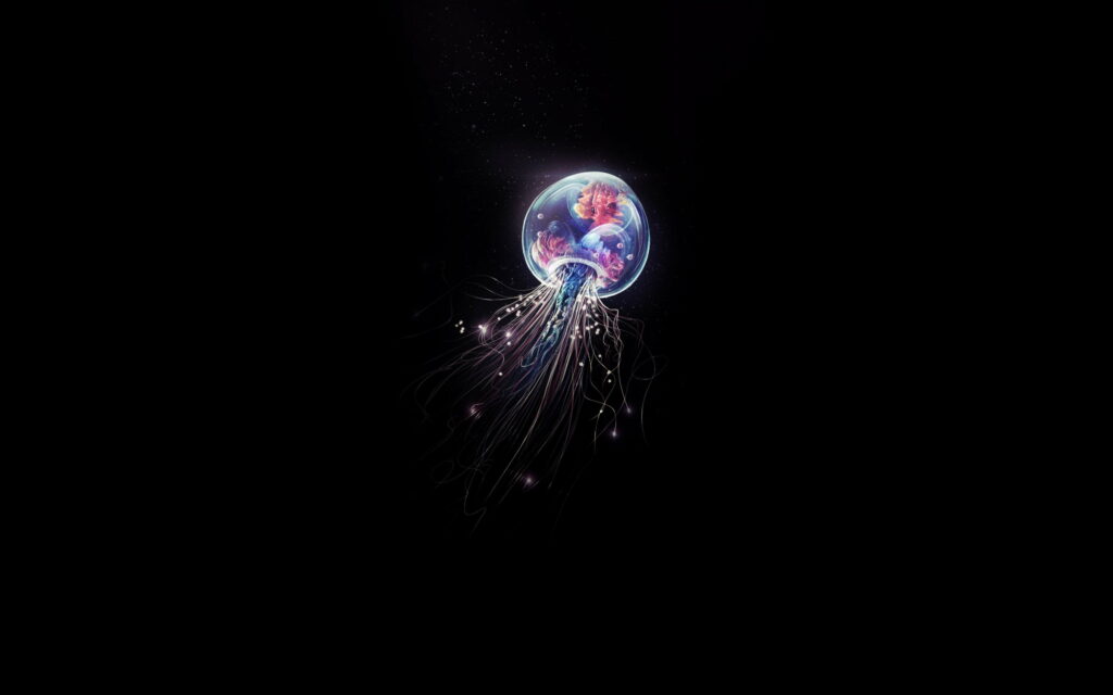 Creative Majesty: Mesmerizing Black Backgrounds and Minimalistic Jellyfish in Stunning 4K Wallpaper