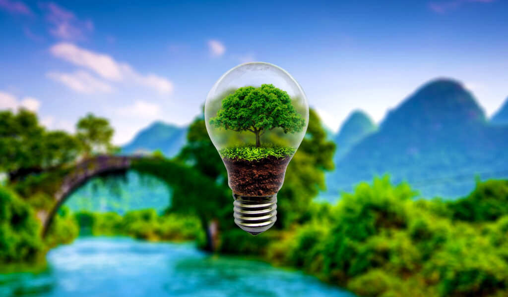 Creative Light Bulb with Mini Tree: Nature & Innovation Fusion Wallpaper