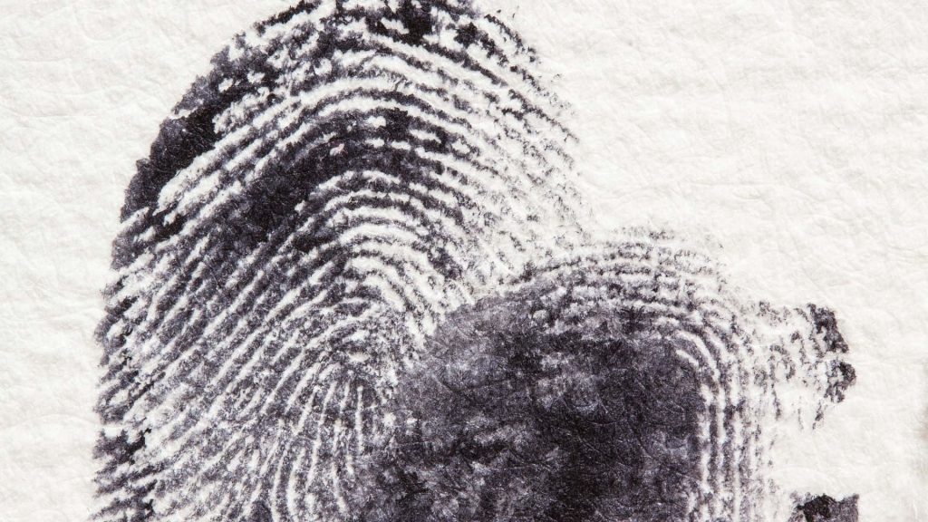 Macro black ink fingerprint on textured paper showing detailed ridge patterns for identity Wallpaper