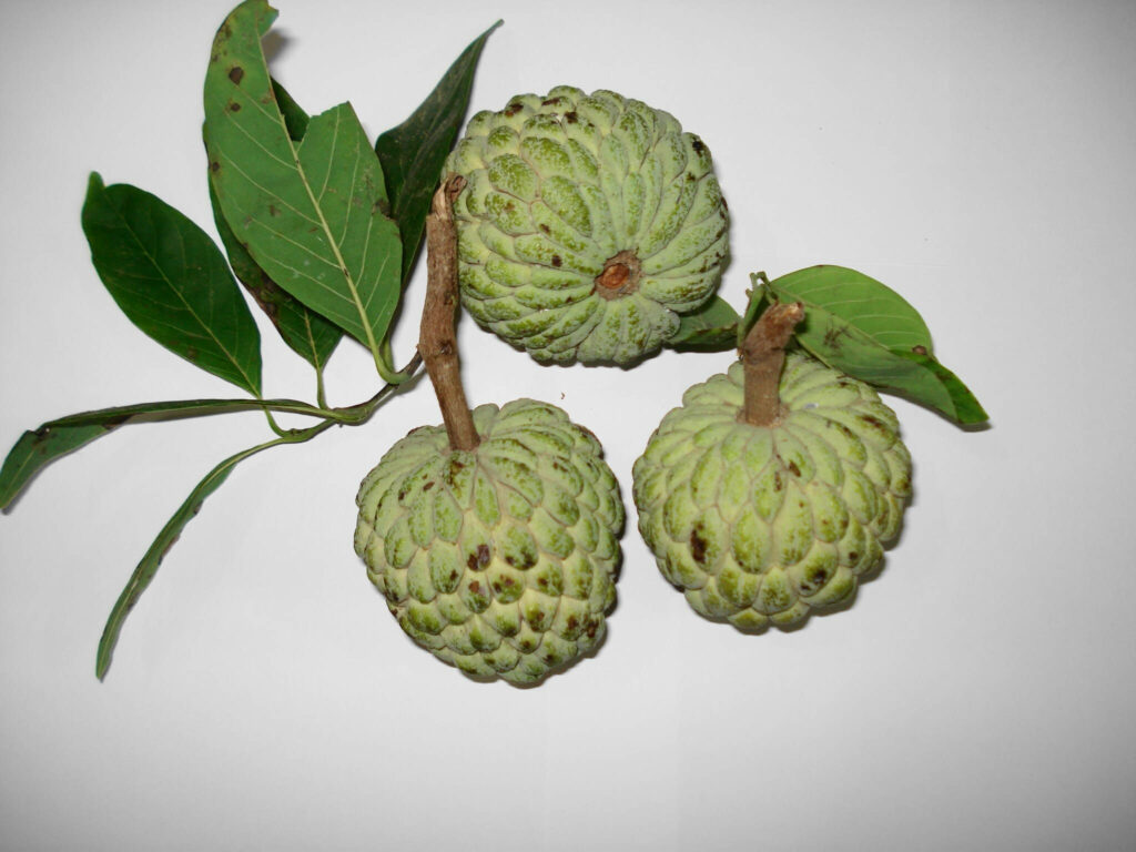 Crisp Custard Apple Wallpaper: Fresh Texture on White Background