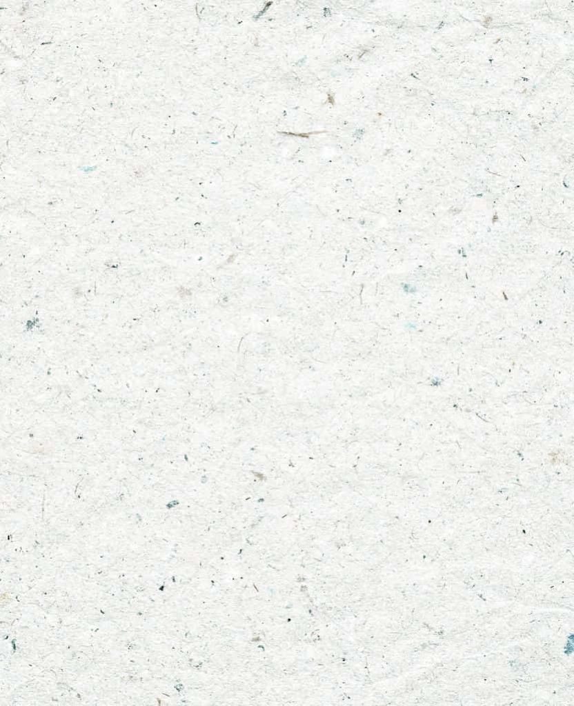 Crisp white paper background with natural fibrous texture and subtle speckles for minimal design Wallpaper