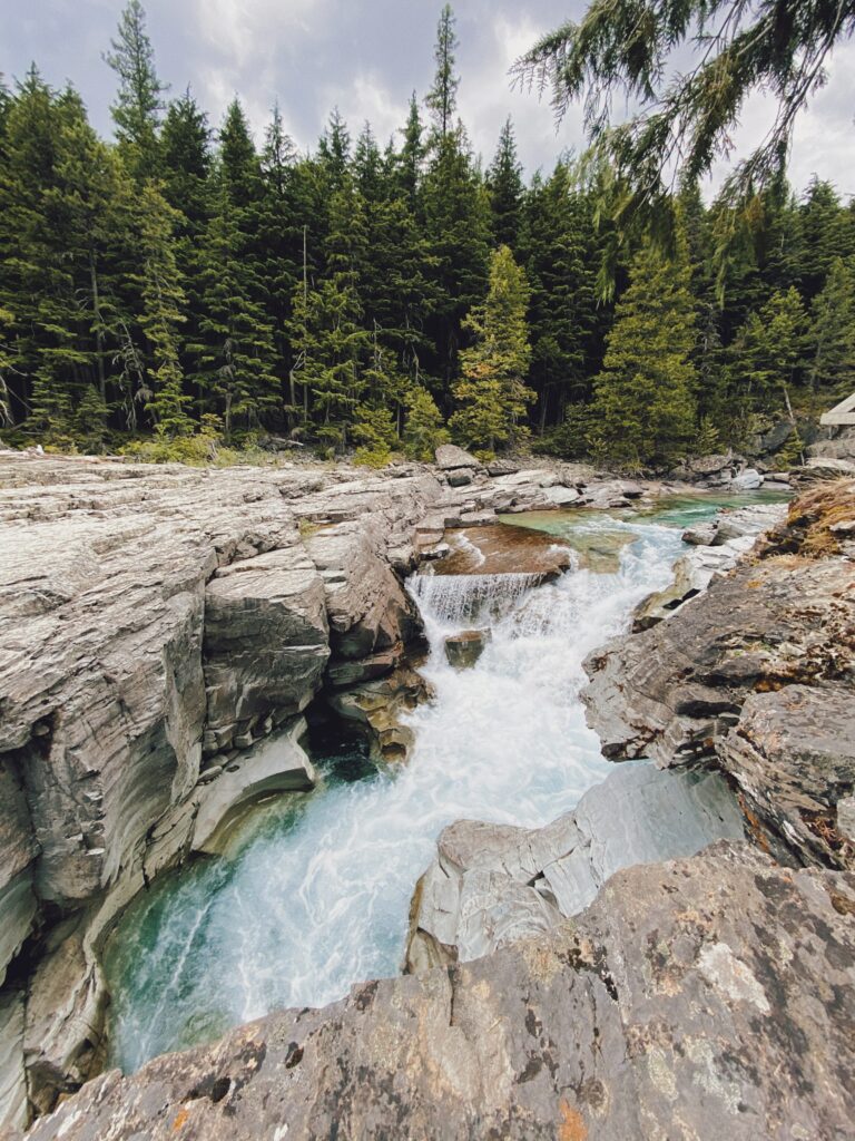 Crystal-clear river flowing over smooth stones surrounded by dense green trees landscape wallpaper
