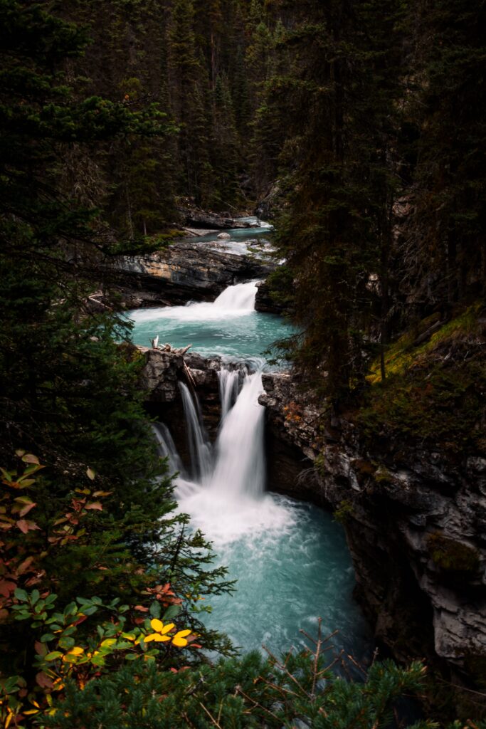 Crystal-clear river cascading over rocky waterfall surrounded by dense evergreen forest nature scene Wallpaper