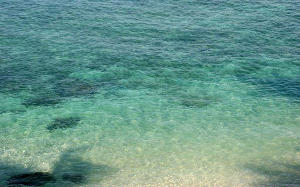 Crystal Clear Marine Transparency: A Stunning HD Wallpaper Background Photo of a Serene Beach and Glittering Water
