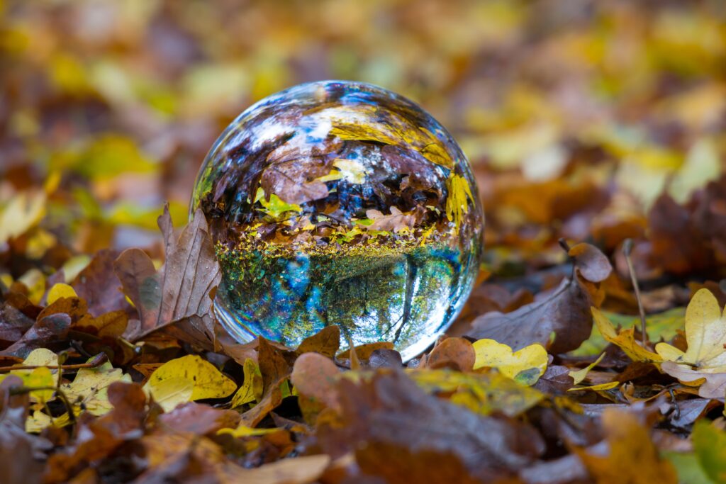 Crystal glass sphere among vibrant autumn leaves reflecting golden brown and green colors Wallpaper