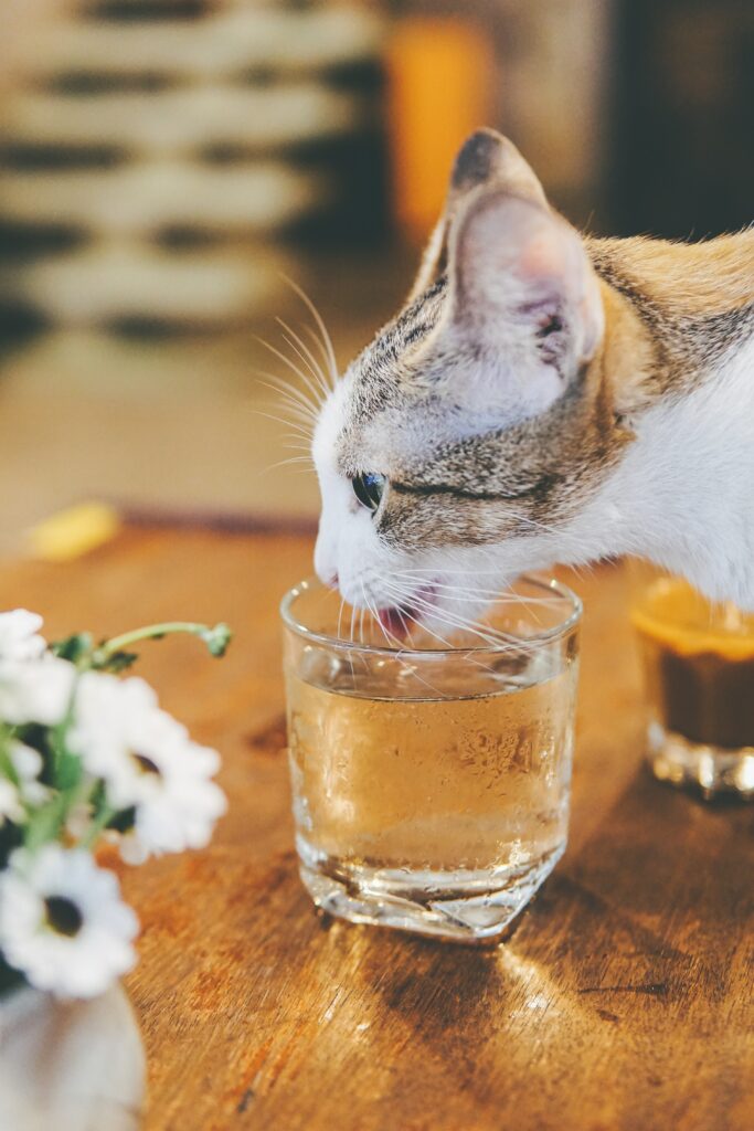 Whimsical Cat Licking Water with Flowers on Wooden Table Wallpaper