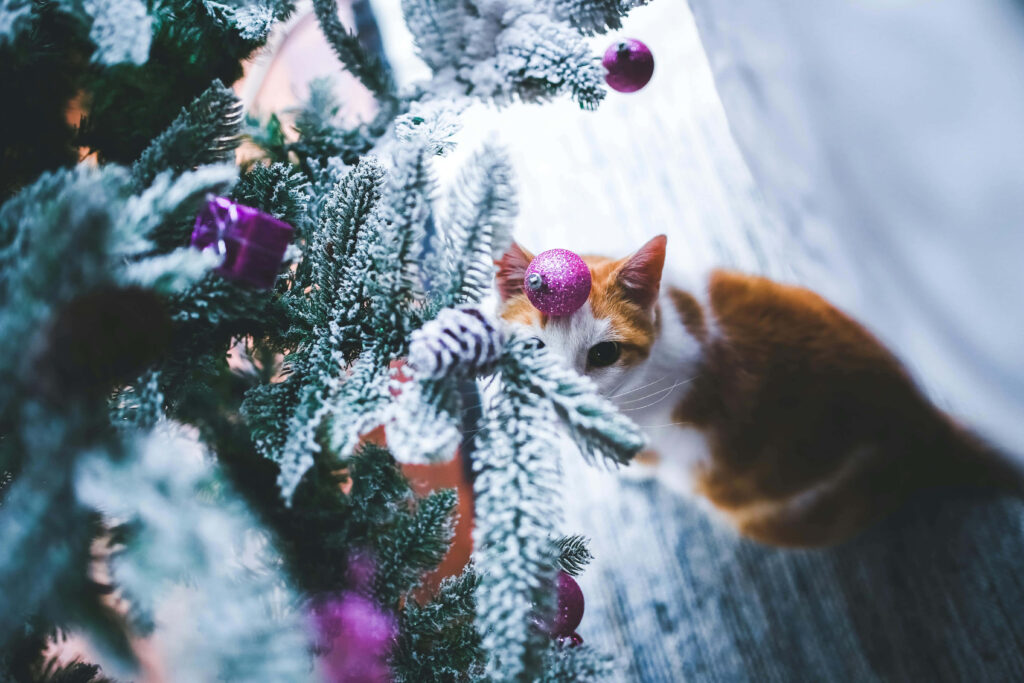 Curious Cat Peeks at Snowy Christmas Tree with Purple Ornaments Wallpaper