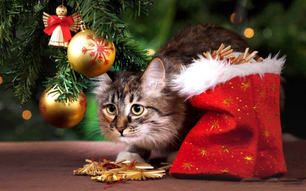 Curious Cat Nestled Under a Festive Christmas Tree with Ornaments Wallpaper