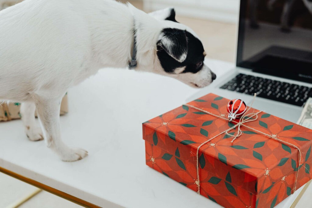 Curious Dog Sniffs Festive Gift Box in Playful Christmas Scene Wallpaper