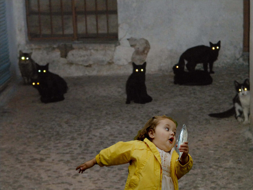 Humorous wallpaper of child in yellow coat running with fish chased by glowing eyed black cats