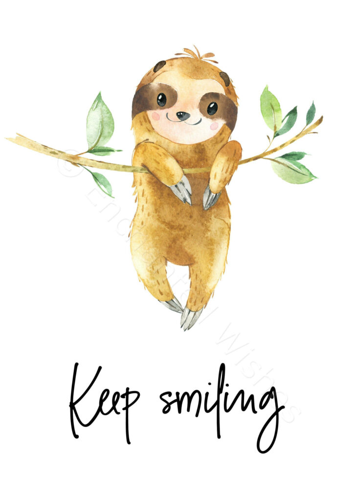 Adorable Baby Sloth Wallpaper: Keep Smiling Inspiration
