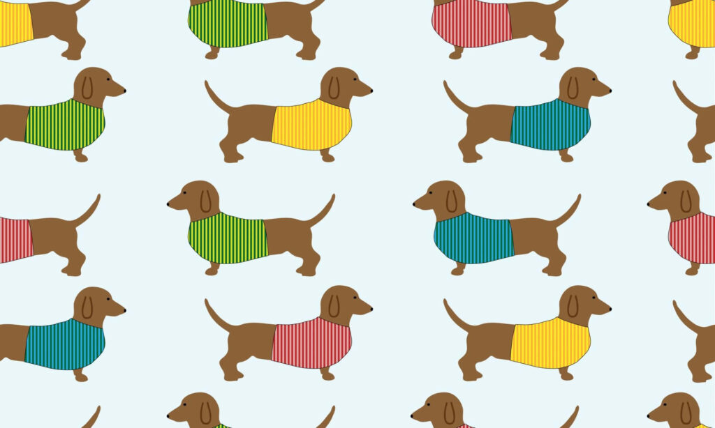 Playful dachshund wallpaper with colorful sweaters on soft blue background cheerful pattern