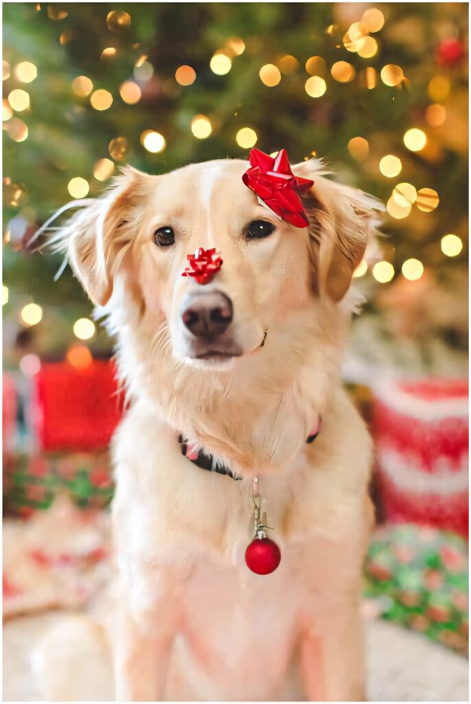 Adorable Dog in a Festive Scene with Red Ribbon & Christmas Tree Wallpaper