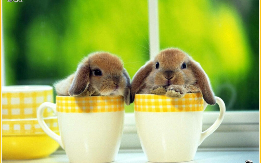 Cute Mini Rabbits in Yellow Cups - Charming Wallpaper Background