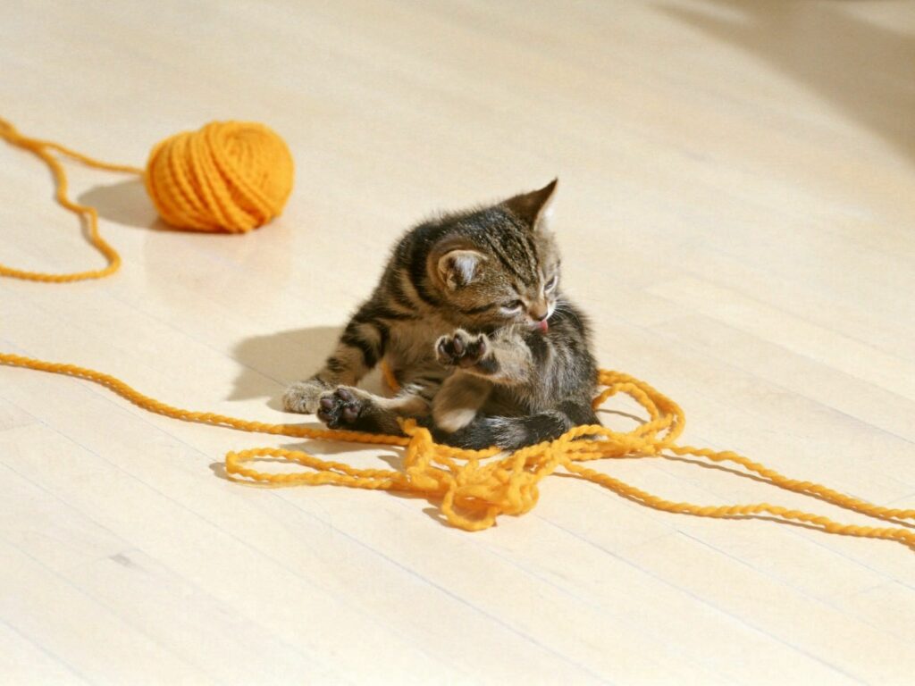 Cute Kitten Entangled in Yellow Yarn: A Moment of Playful Curiosity Wallpaper