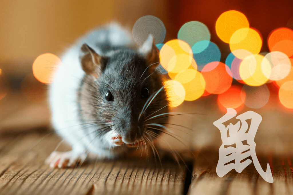 Cute Rat Wallpaper with Colorful Bokeh & Chinese Zodiac Symbol