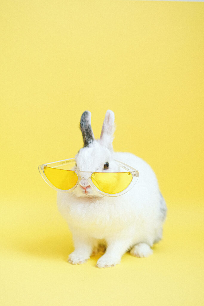 Playful White Rabbit in Yellow Sunglasses Wallpaper - Cheerful Background
