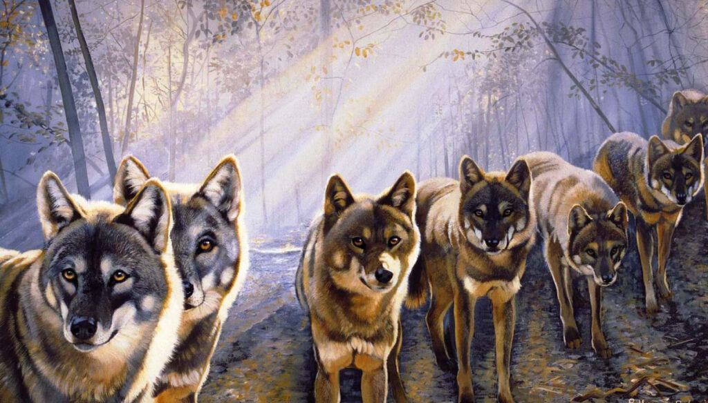 Enchanting Wolf Pack Wallpaper: Serene Sunlit Forest Background