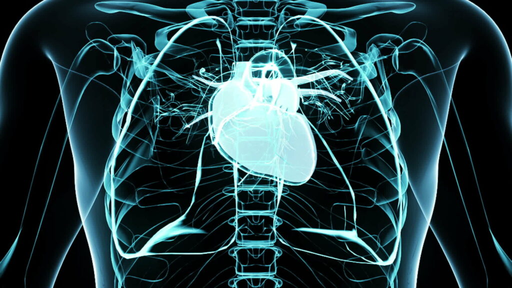 The Marvel of 3D Transparent Human Heart Unveiled for Cutting-Edge Medical Research Wallpaper