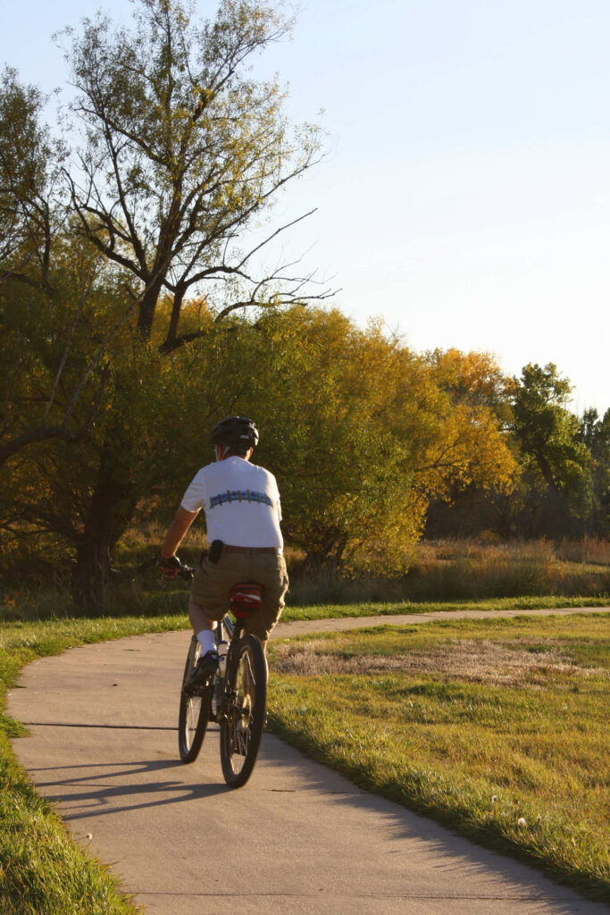 Cyclist on winding path through green grass and trees in golden sunlight outdoor active lifestyle Wallpaper