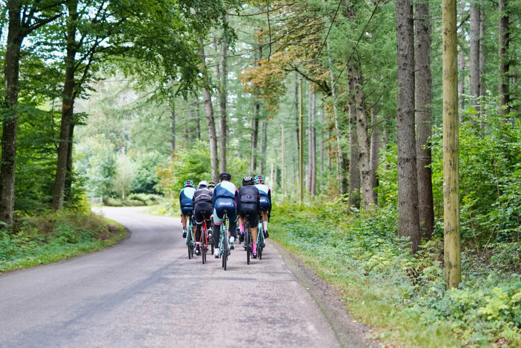 Group of cyclists riding on winding forest road with tall trees and lush green foliage outdoors Wallpaper