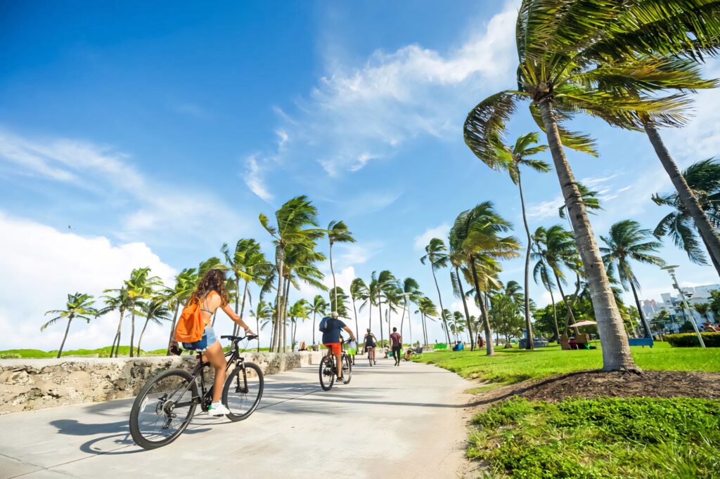 Cyclists on sunlit path with tall coconut trees blue sky at St Petersburg Beach wallpaper background