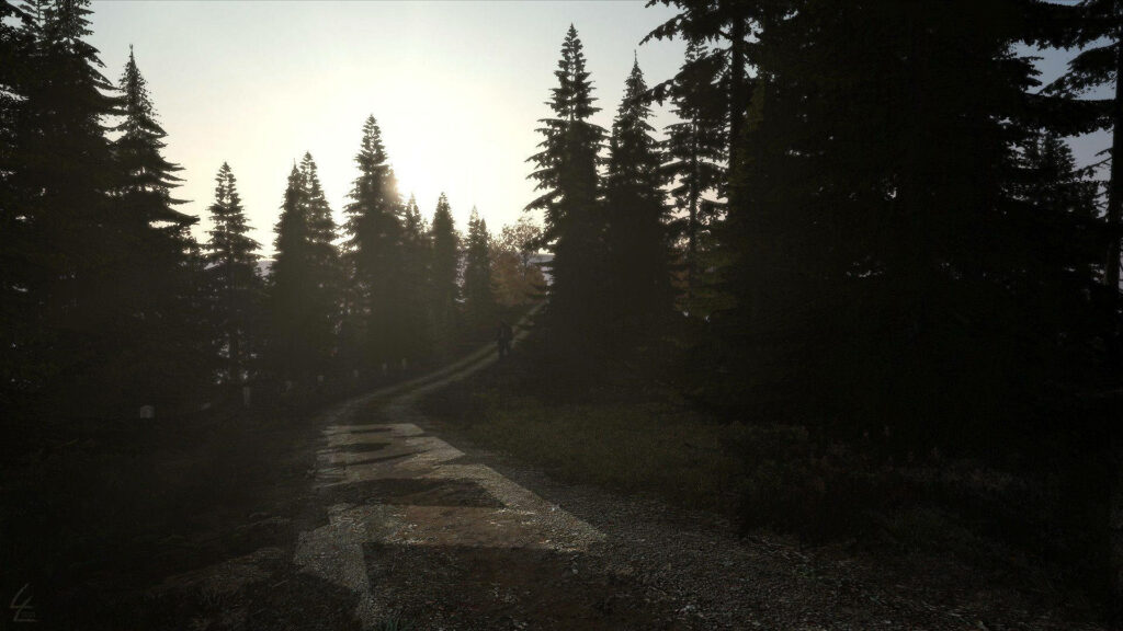 Journey Through the Wild: DAYZ Path Embodied amidst Verdant Wilderness Wallpaper