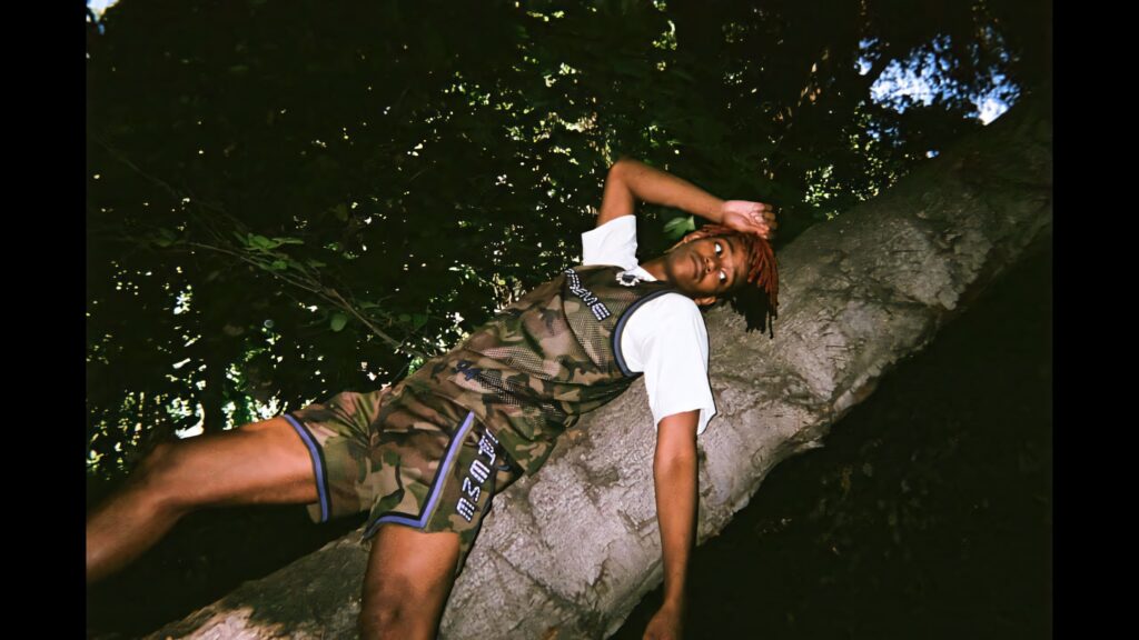 DC The Don in camouflage basketball outfit relaxing on tree trunk in lush green nature wallpaper