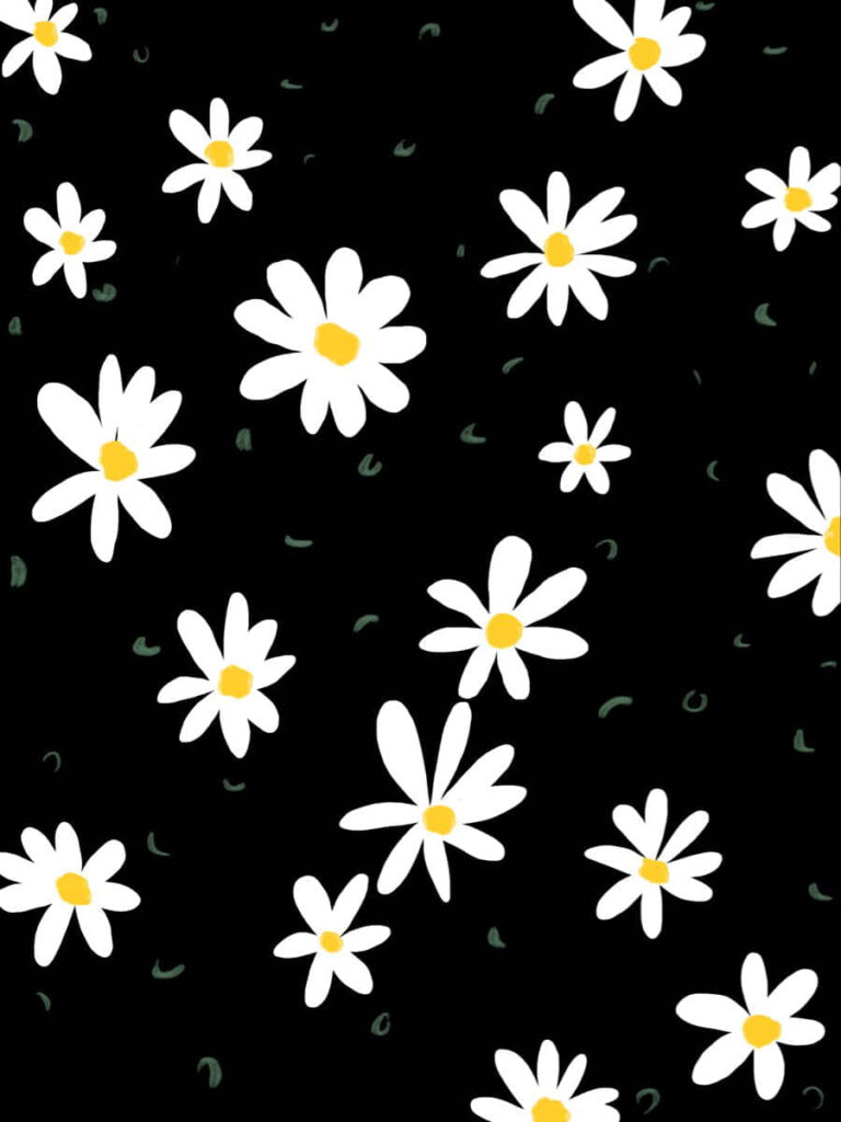 Flower Power: Exquisite Daisy Blossoms Bloom Against a Stunning Black Canvas Wallpaper