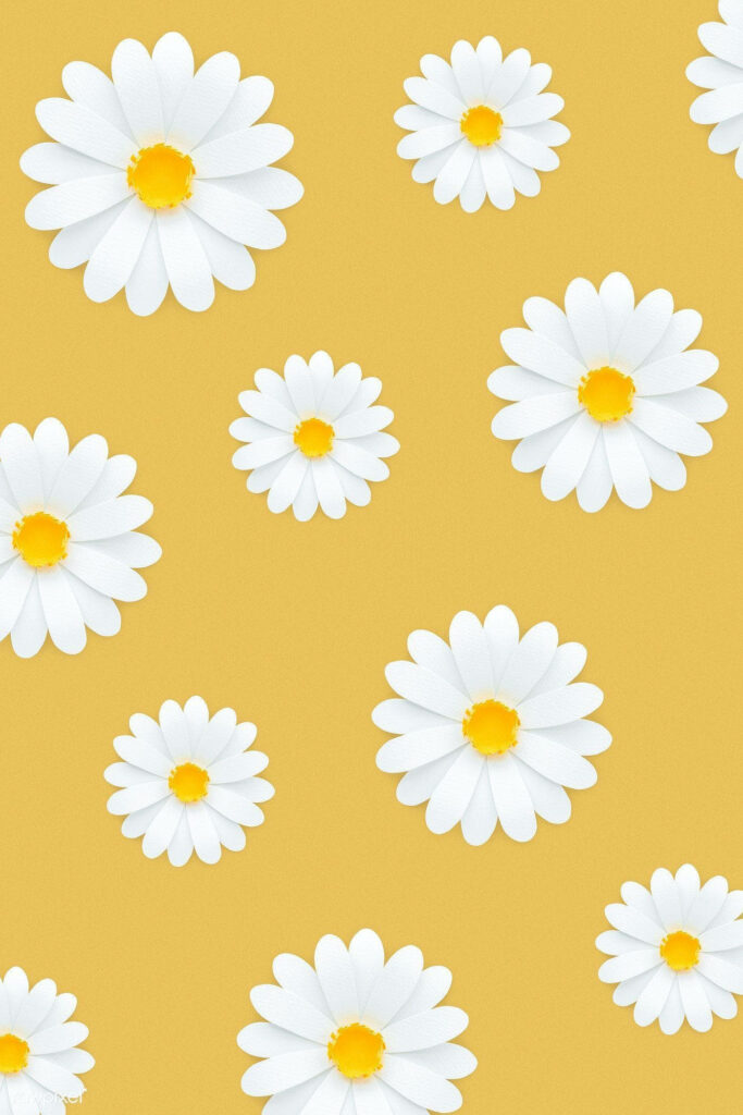 Daisy Delight: A Vibrant Floral Phone Wallpaper