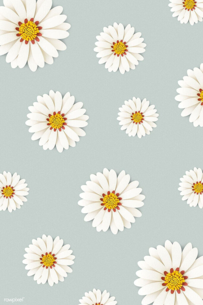 Daisy Delight: A Serene Phone Wallpaper Blooming on a Subtle Gray Background