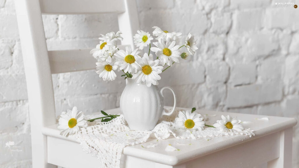 Daisy Dreamscape: White Chair adorned with Daisies in a Vase Wallpaper - Aesthetic Computer Background 1920 X 1080.