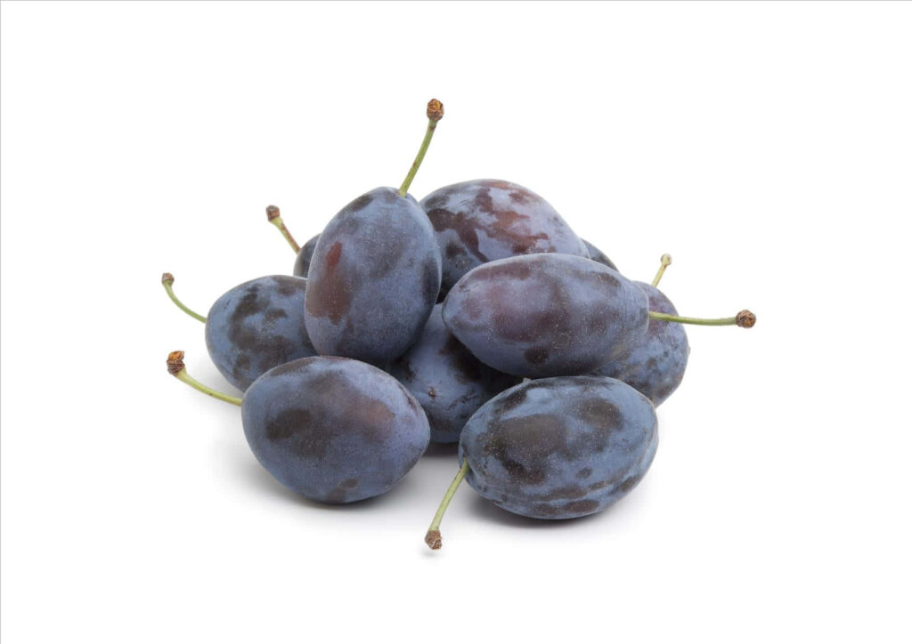 High resolution Damson Plum wallpaper with ripe deep purple fruit and green stems on white background