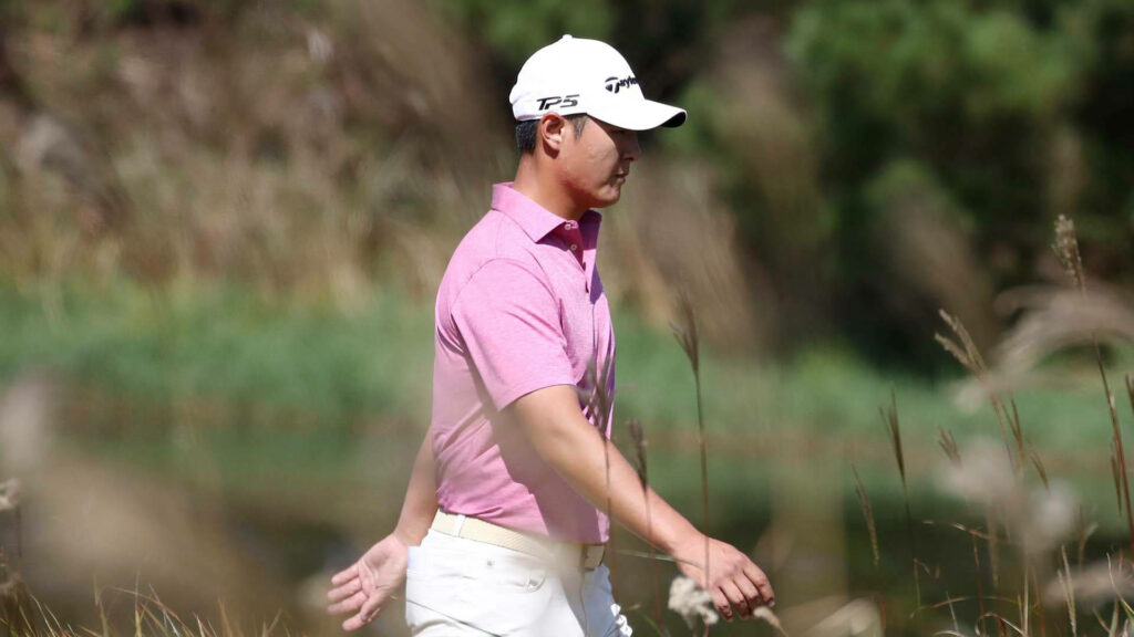 Danny Lee golfing in pale pink polo and white cap amidst lush green grass calm focused scene Wallpaper