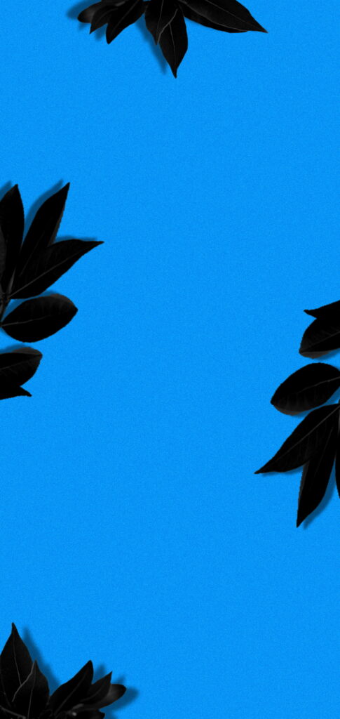 Abstract Dark Hole - Laurel Leaf Punch in Blue: HD Phone Wallpaper