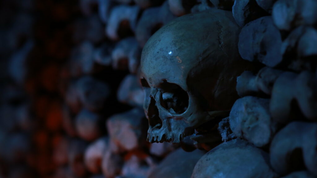 Dark Depths of Death: A Stunning 4K Wallpaper Background Photo Featuring a Human Skull and Skeleton Bones