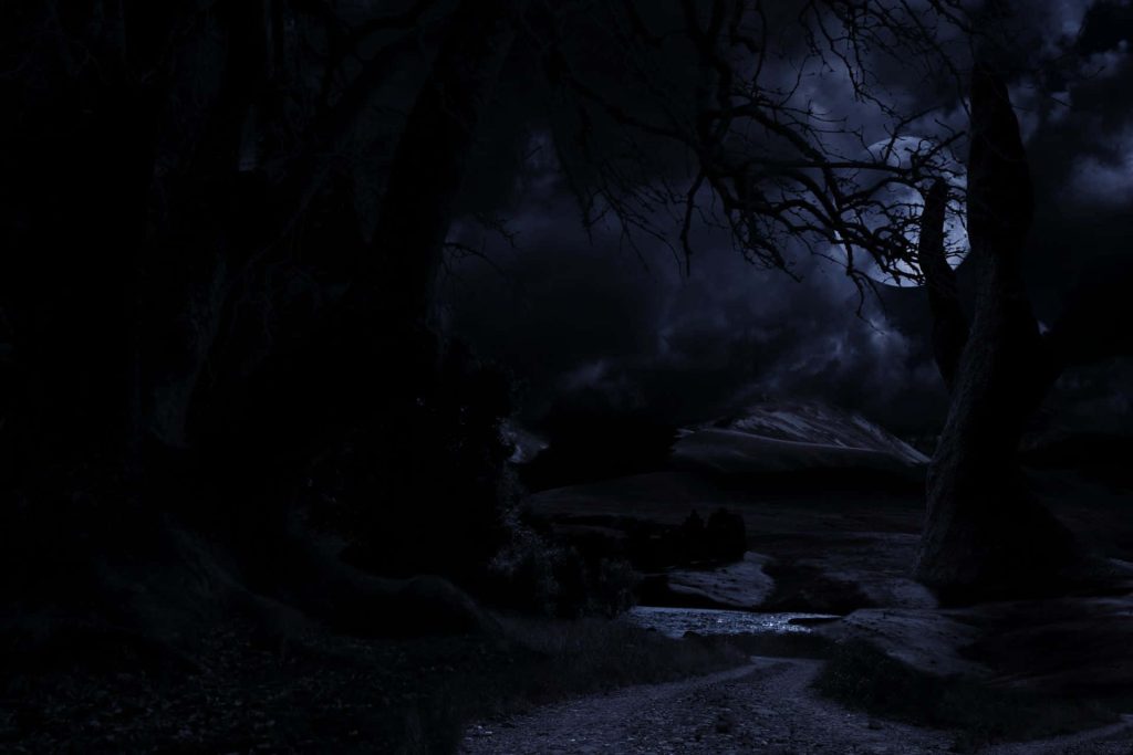 Dark gothic forest path under moonlight with twisted trees and moody blue tones wallpaper