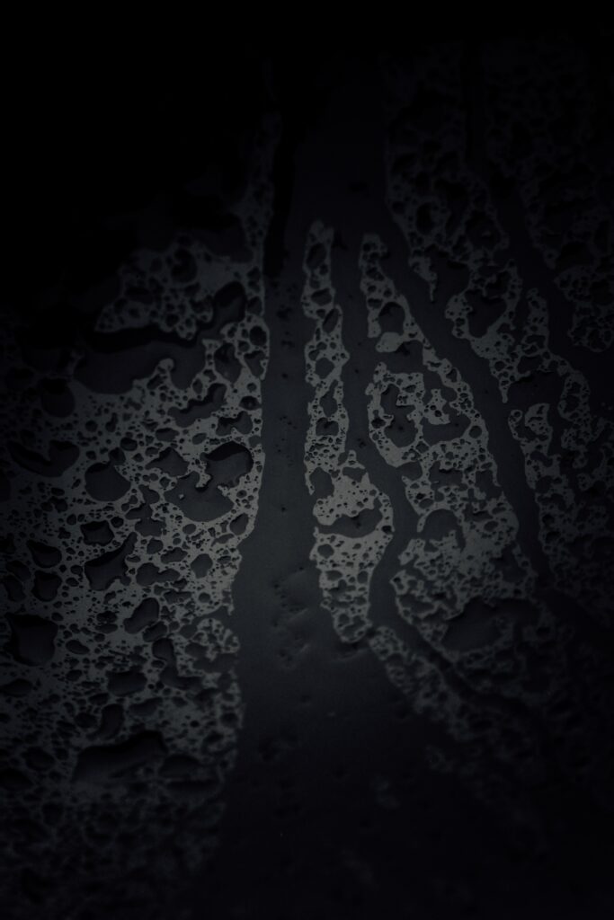Intricate Macro Water Droplets Wallpaper on Black Surface