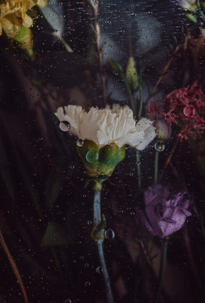Dark Floral Wallpaper: Moody Aesthetic with Rain Effect Background