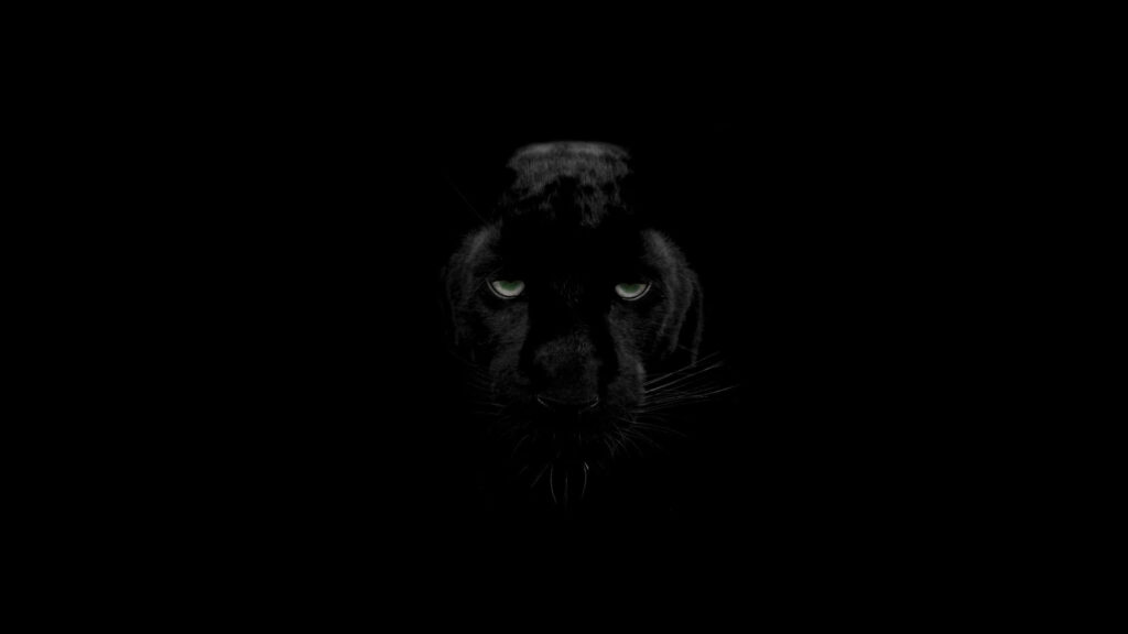 Mysterious Black Panther with Green Eyes Wallpaper - Minimalist Design